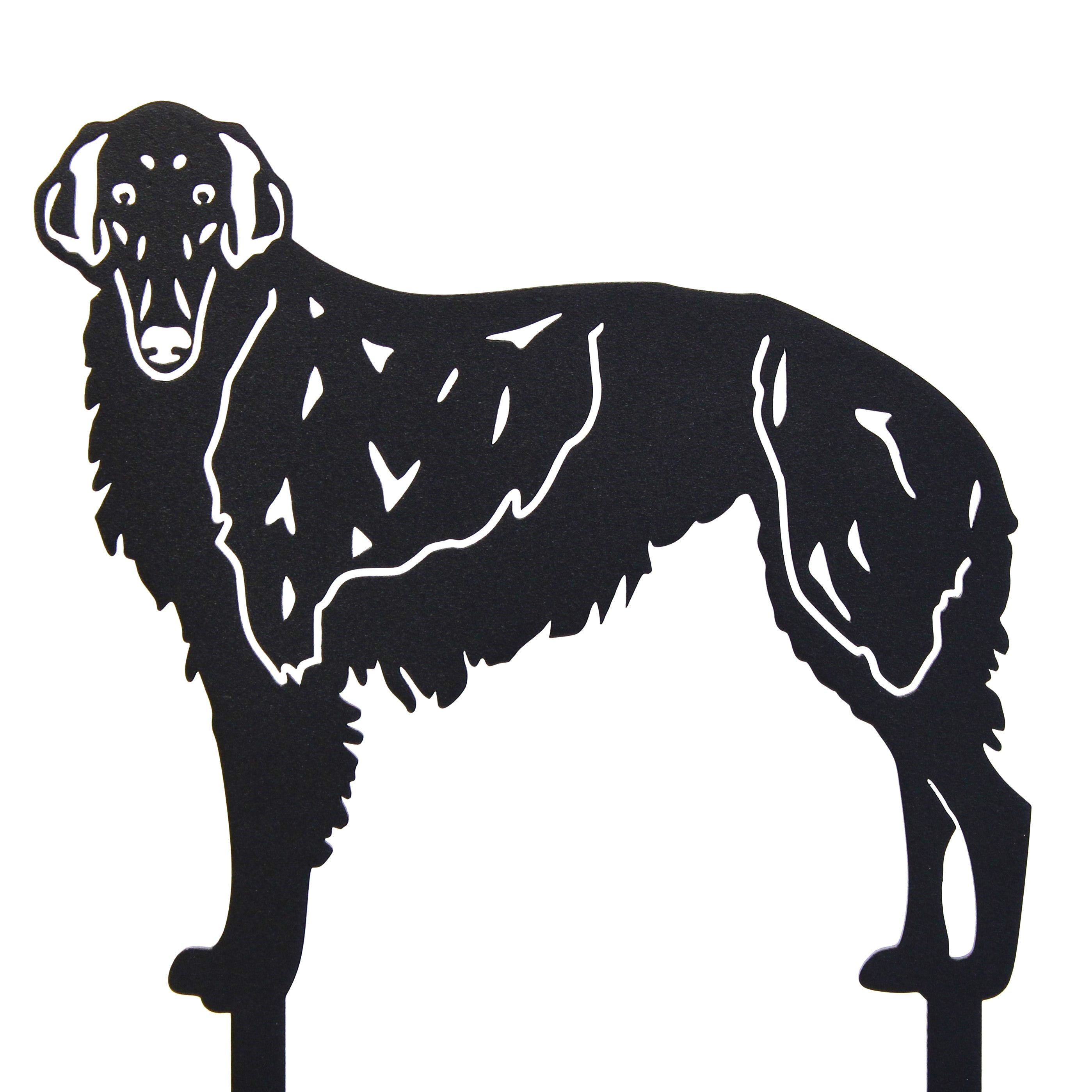 Borzoi