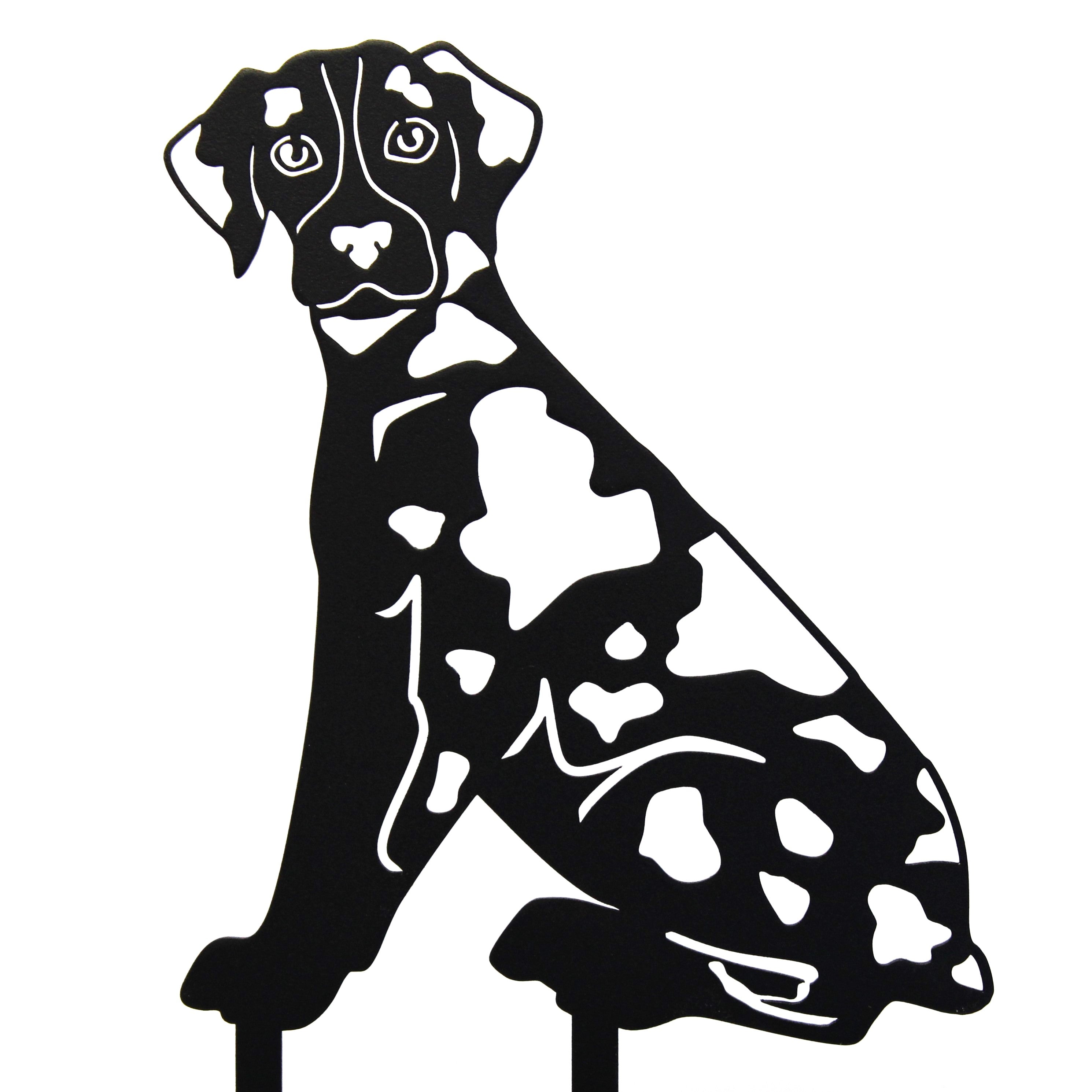 Catahoula Leopard Dog