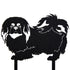 Pekingese