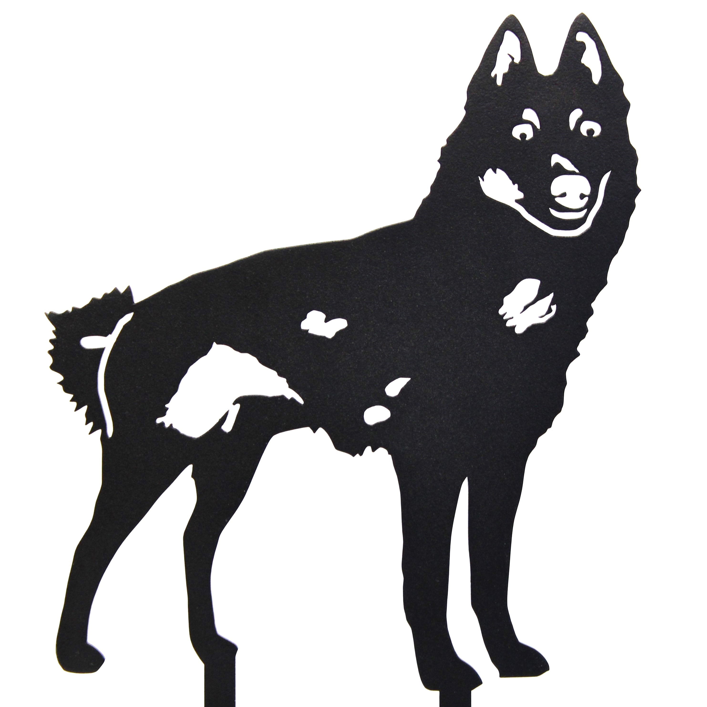 Schipperke