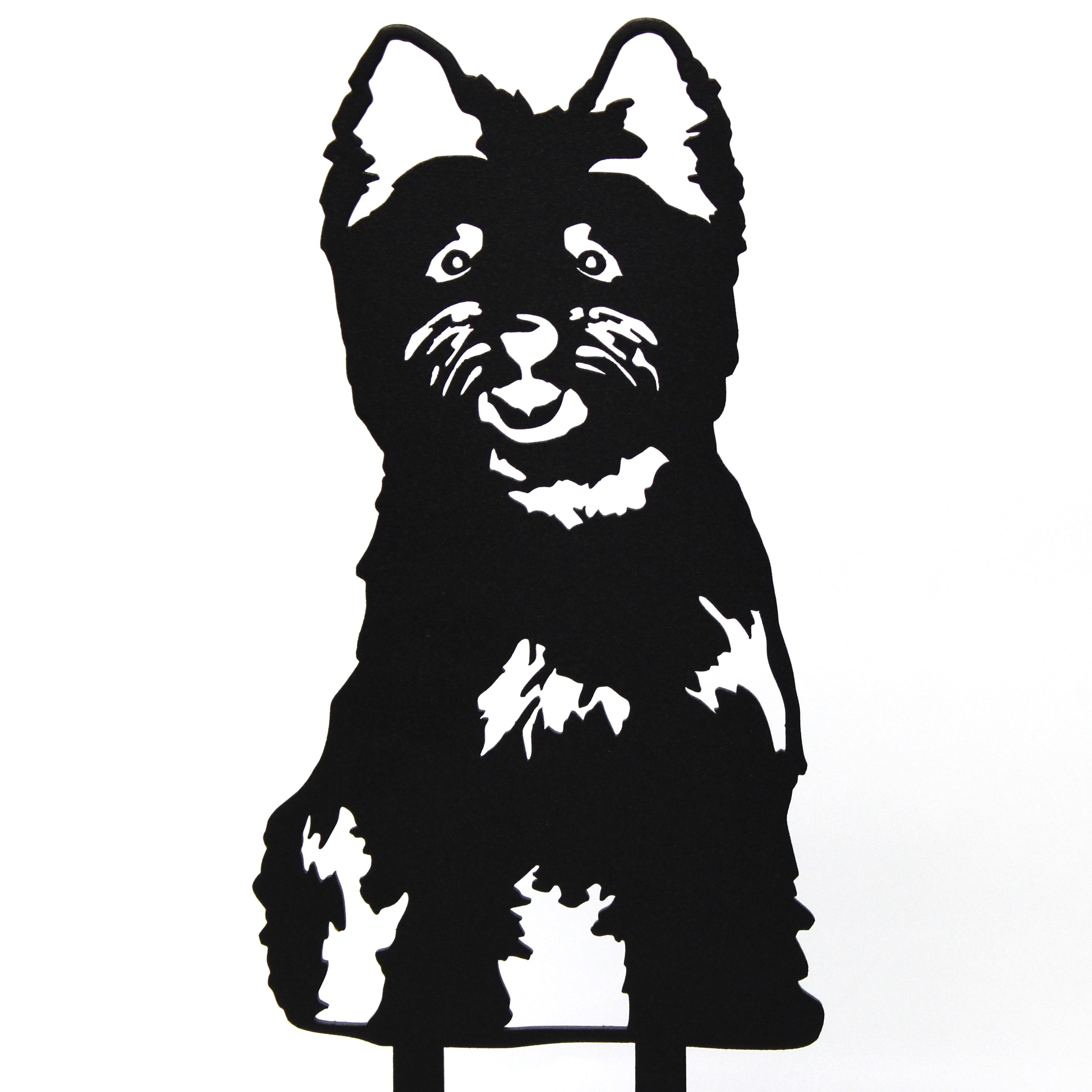 Cairn Terrier