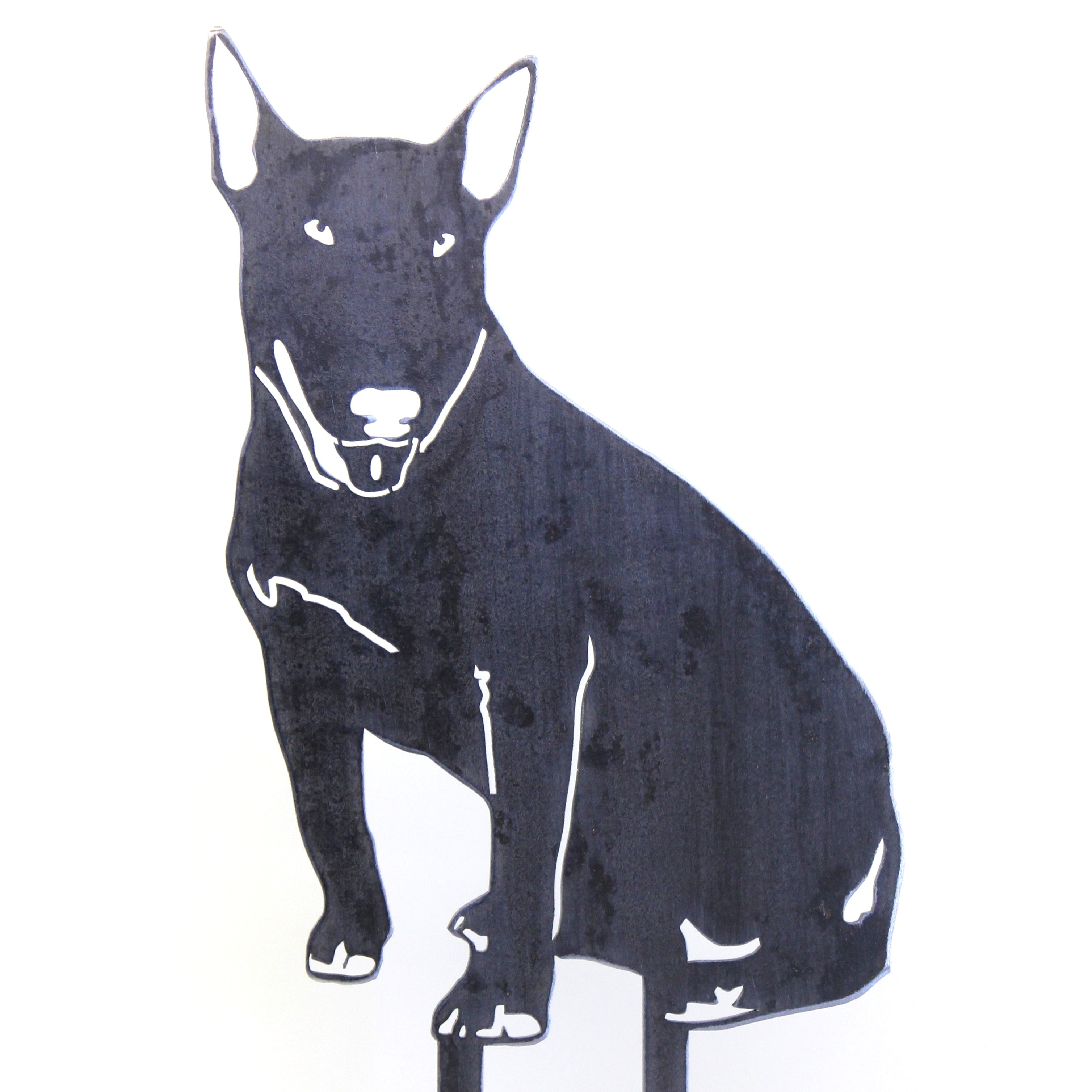 Bull Terrier