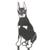 Doberman Pinscher - Cropped Ear