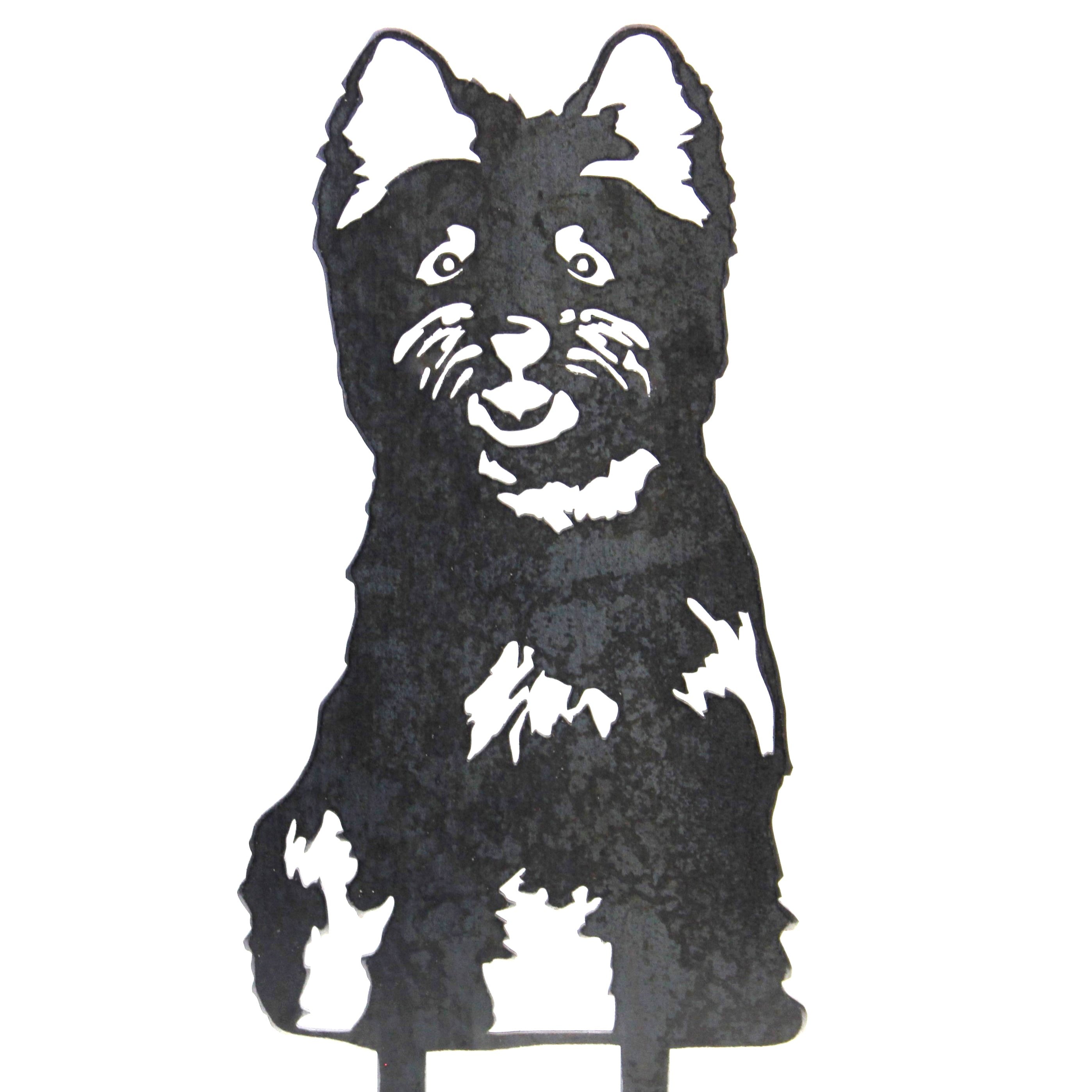 Cairn Terrier