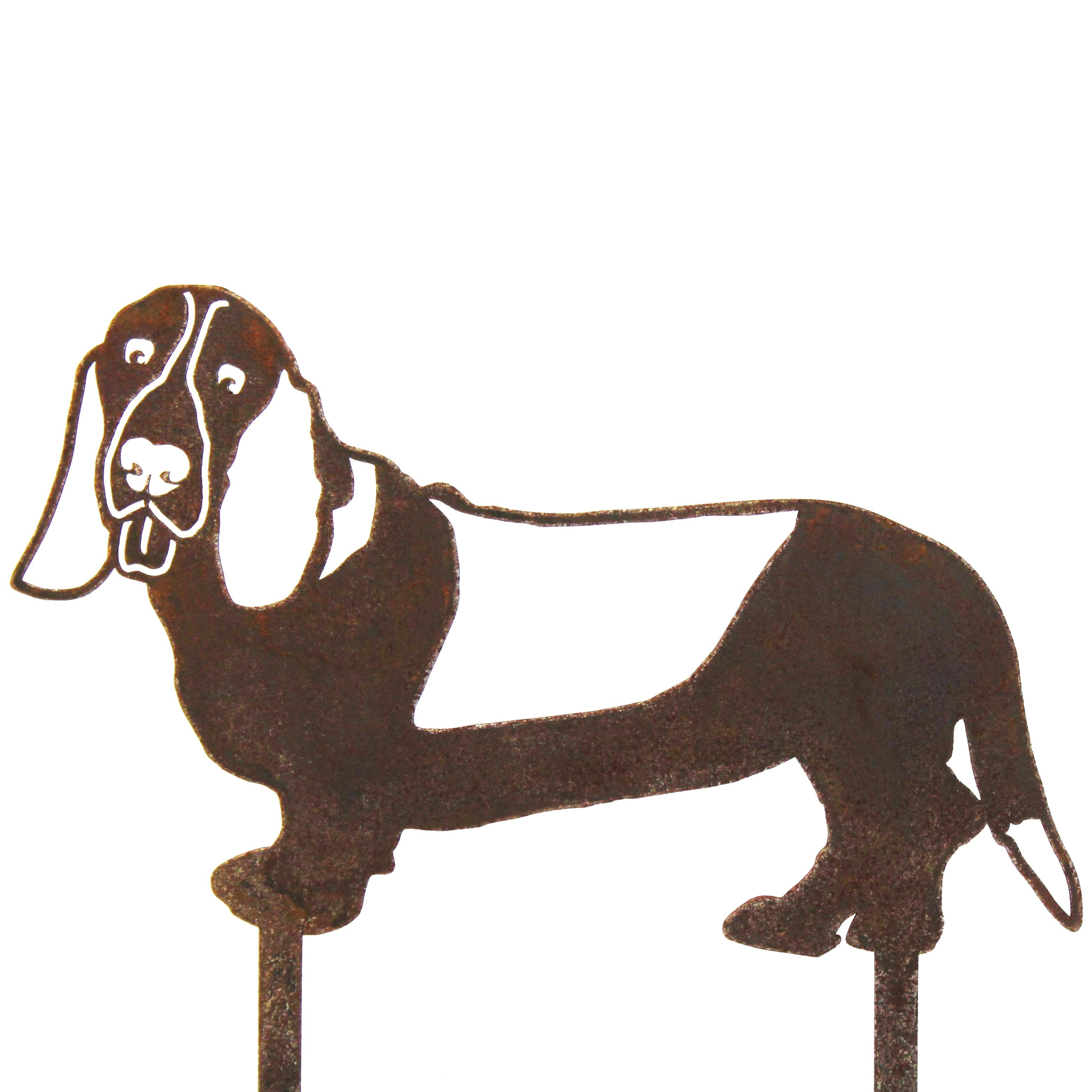 Basset Hound