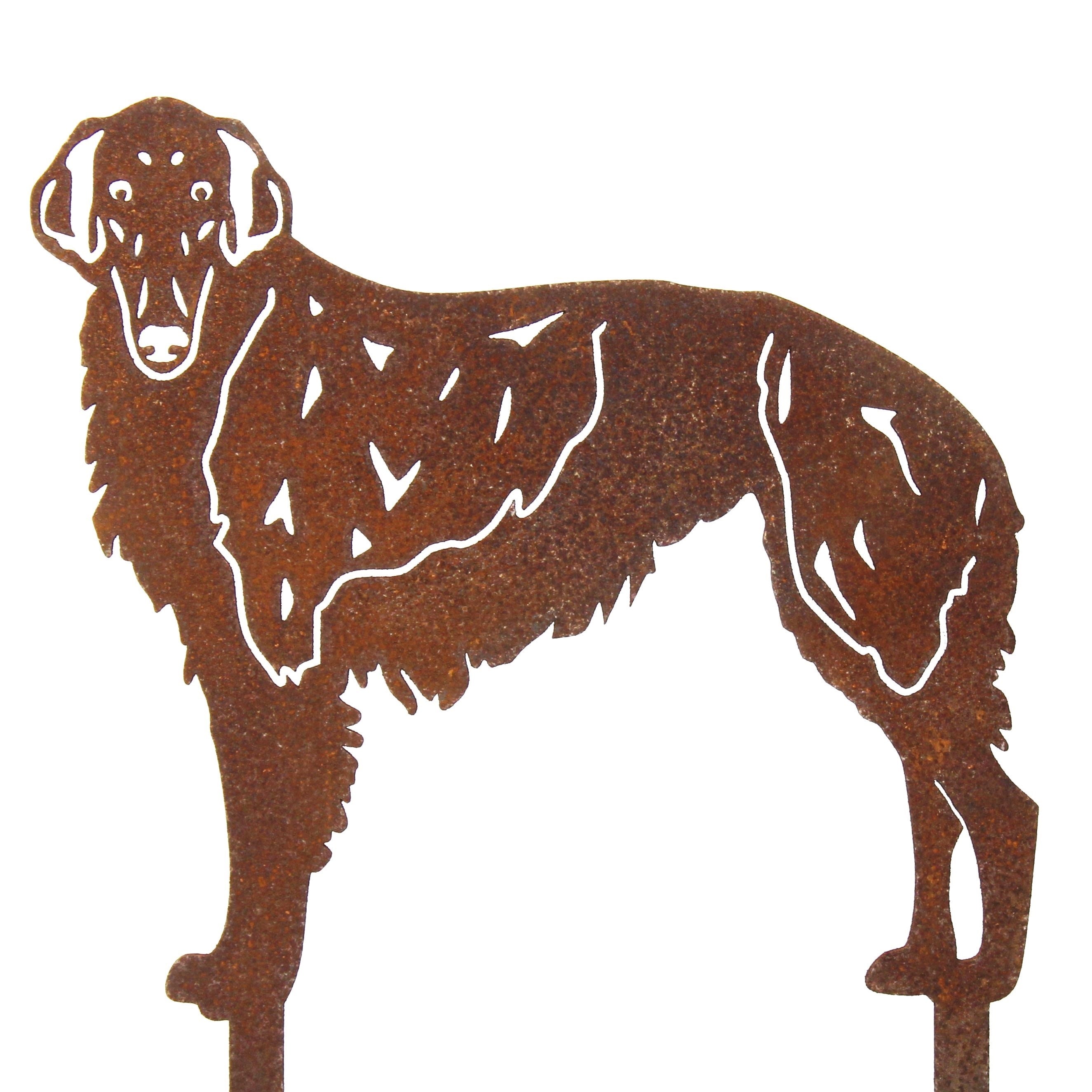 Borzoi