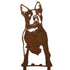 Boston Terrier