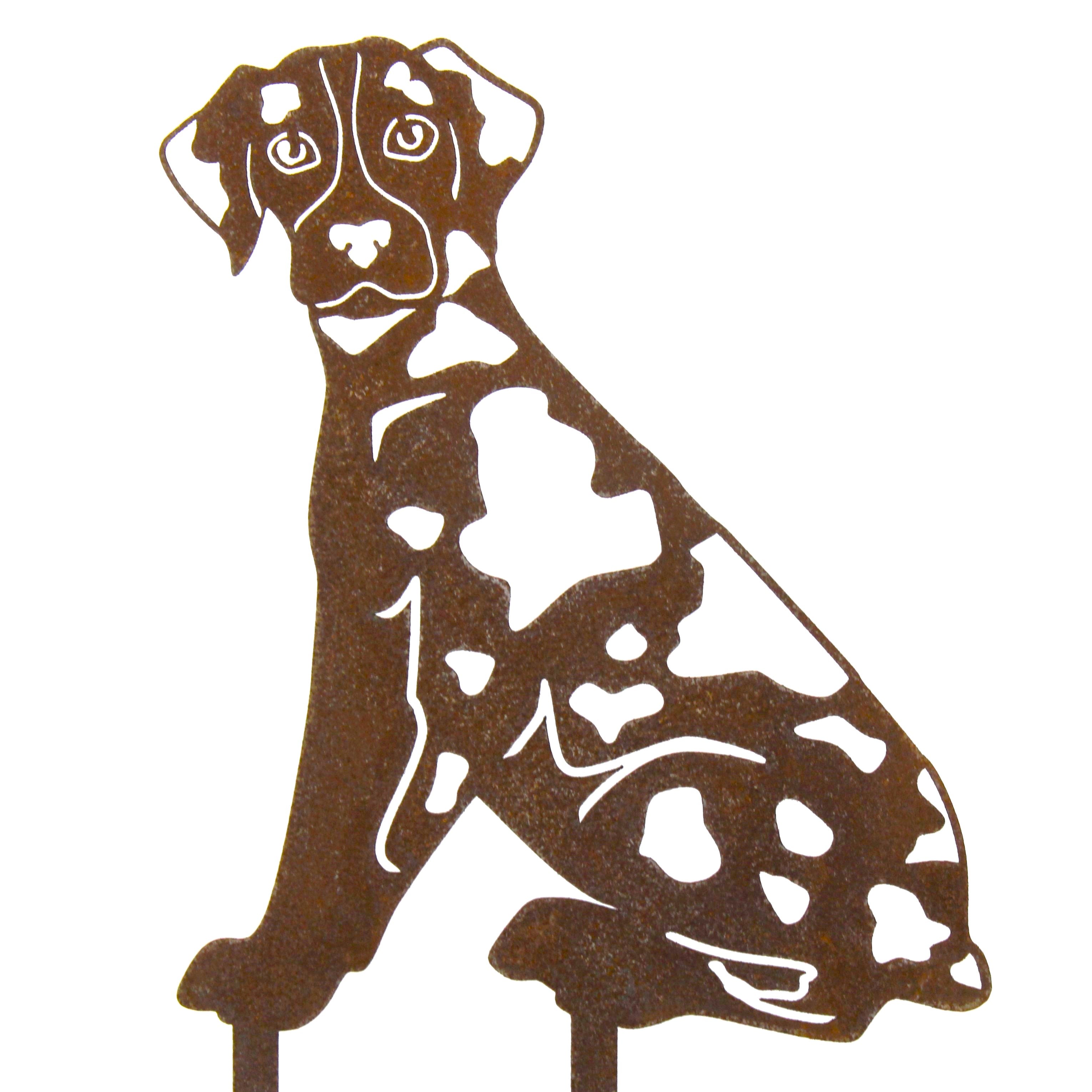 Catahoula Leopard Dog