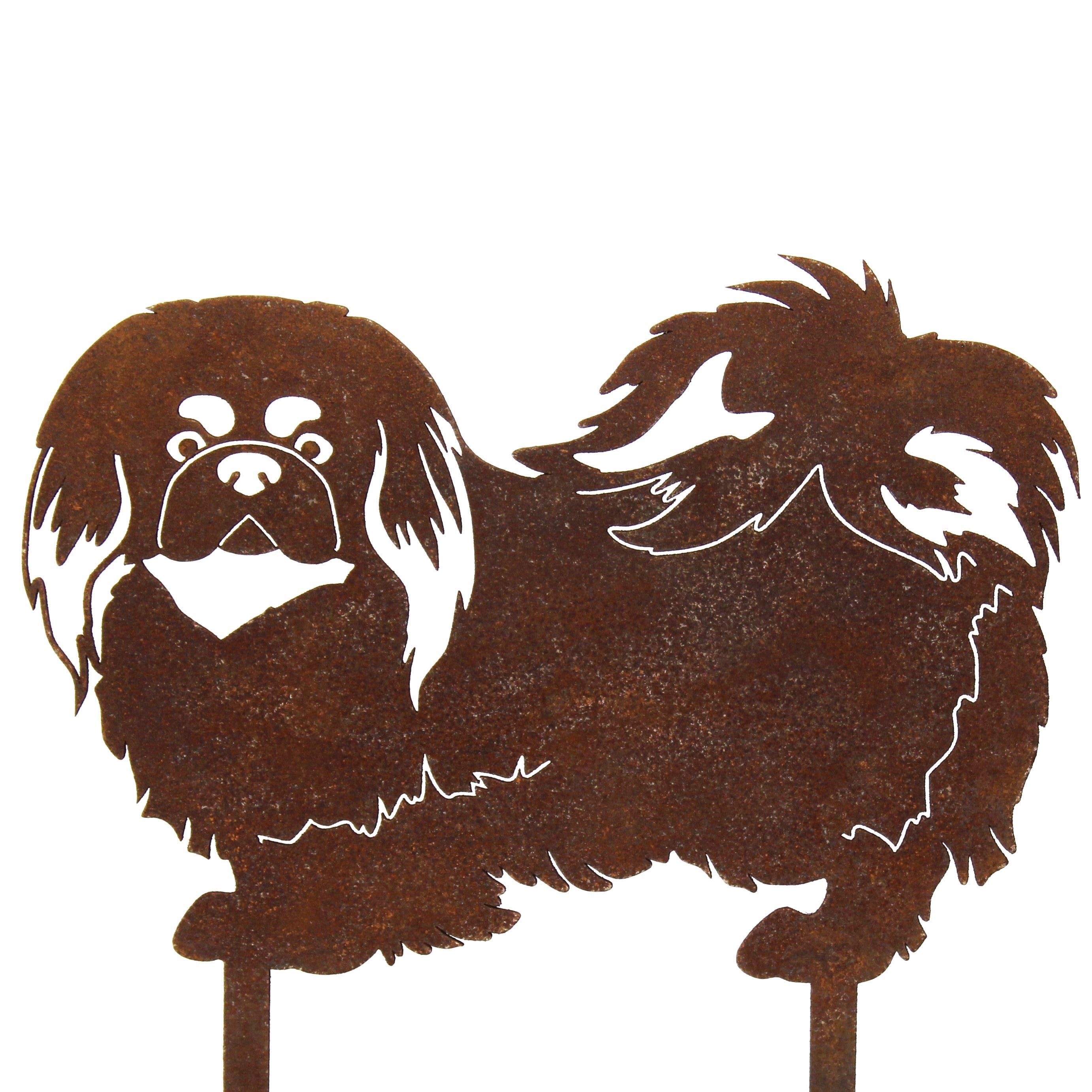 Pekingese