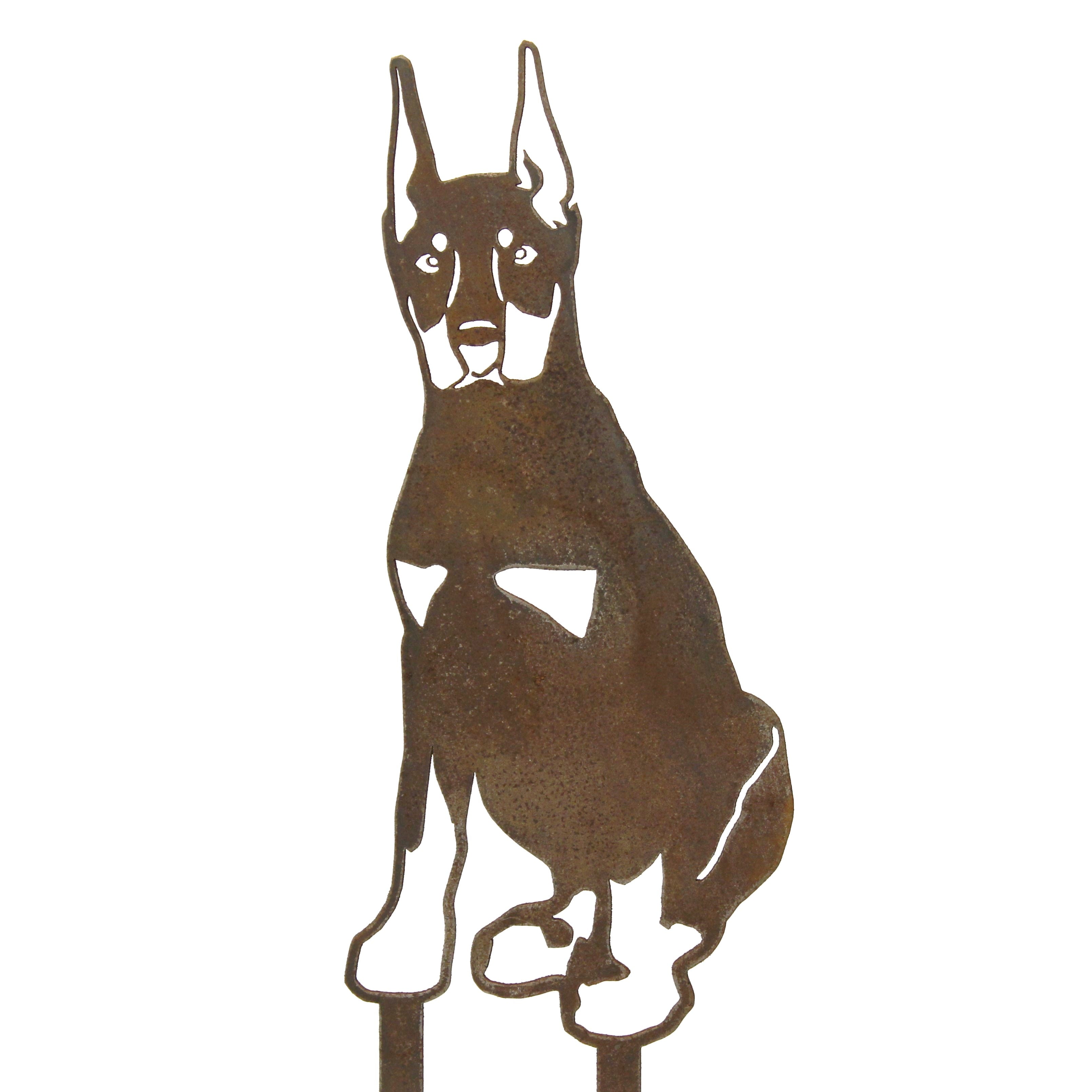 Doberman Pinscher - Cropped Ear