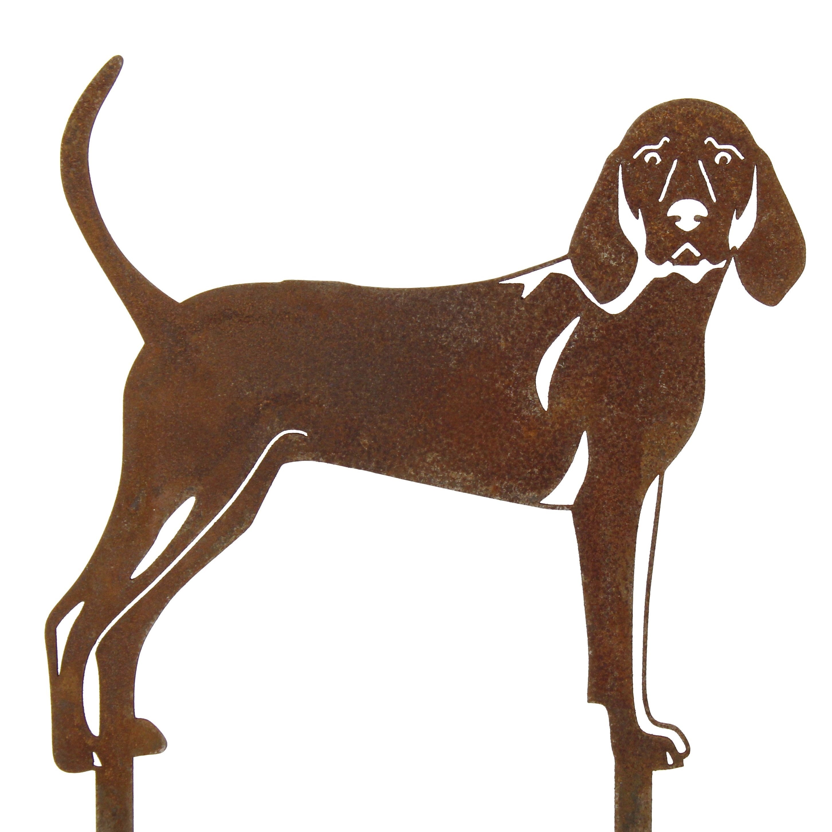 Redbone Coonhound