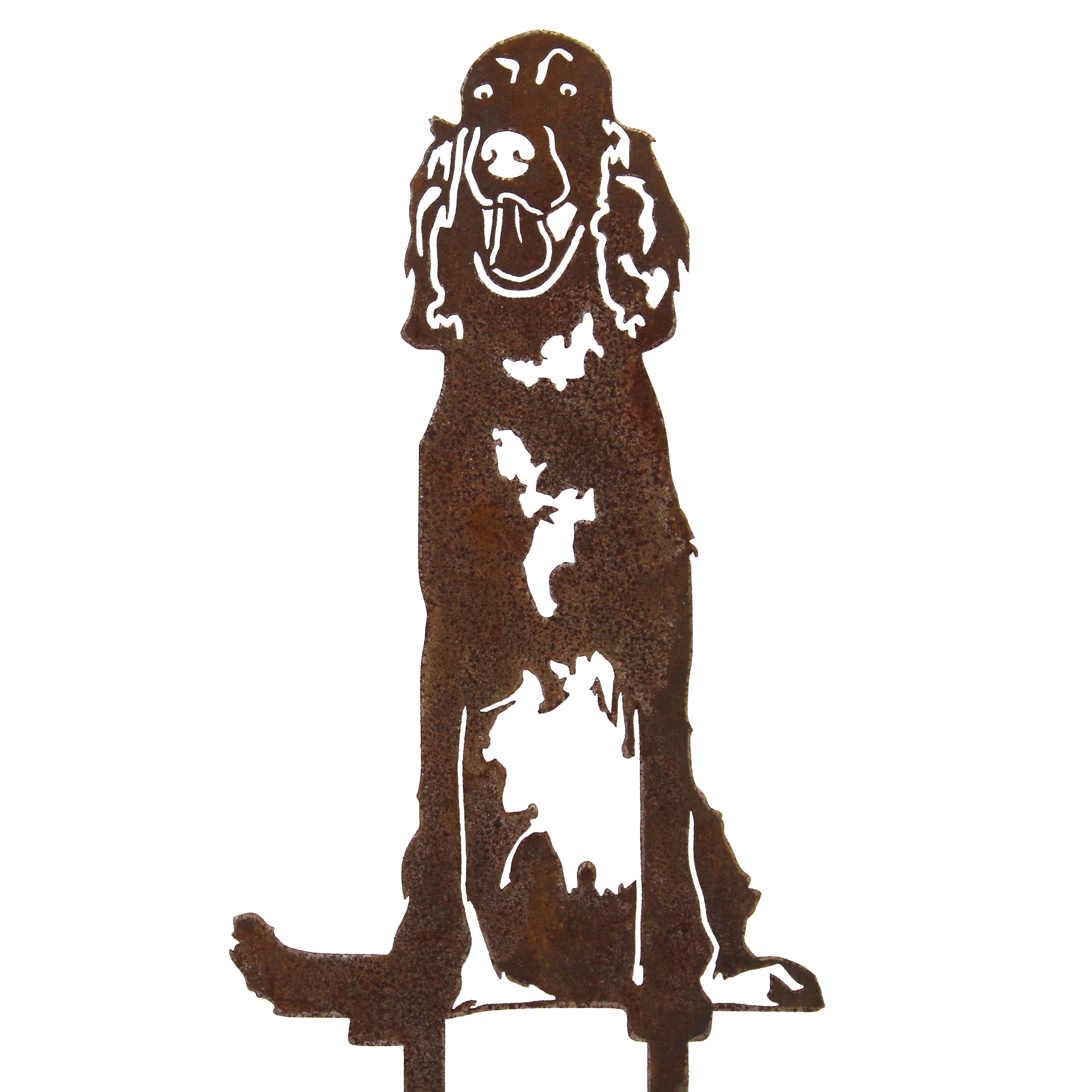 English Setter