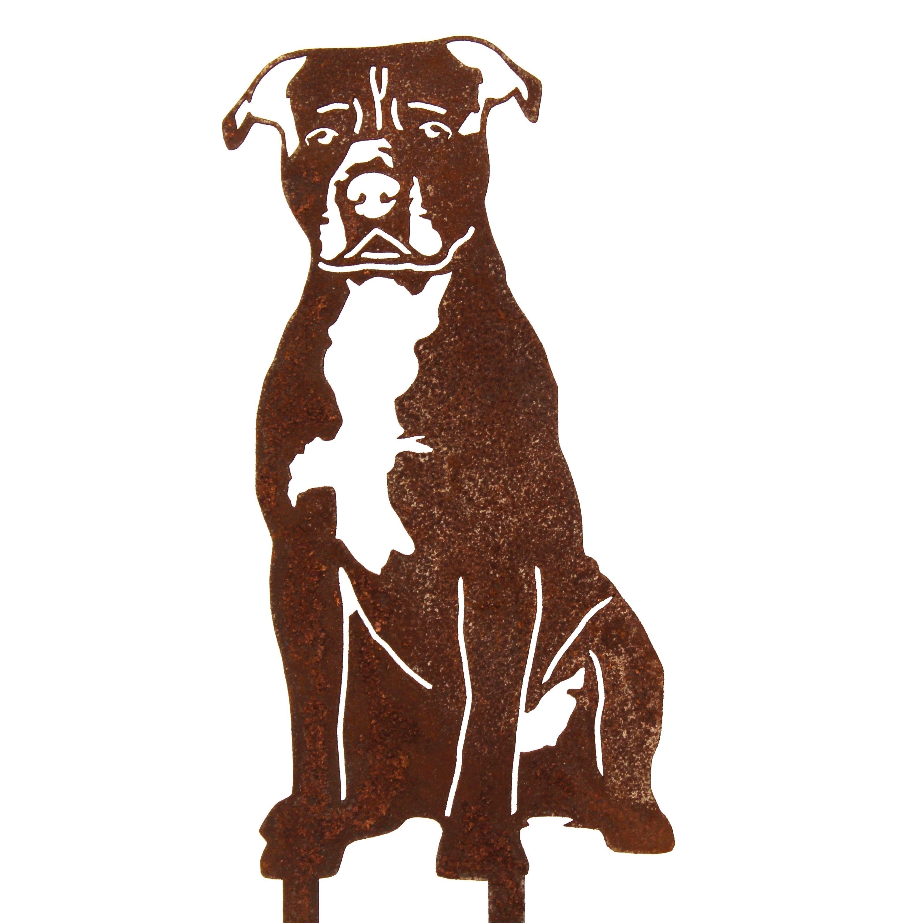 Staffordshire Bull Terrier