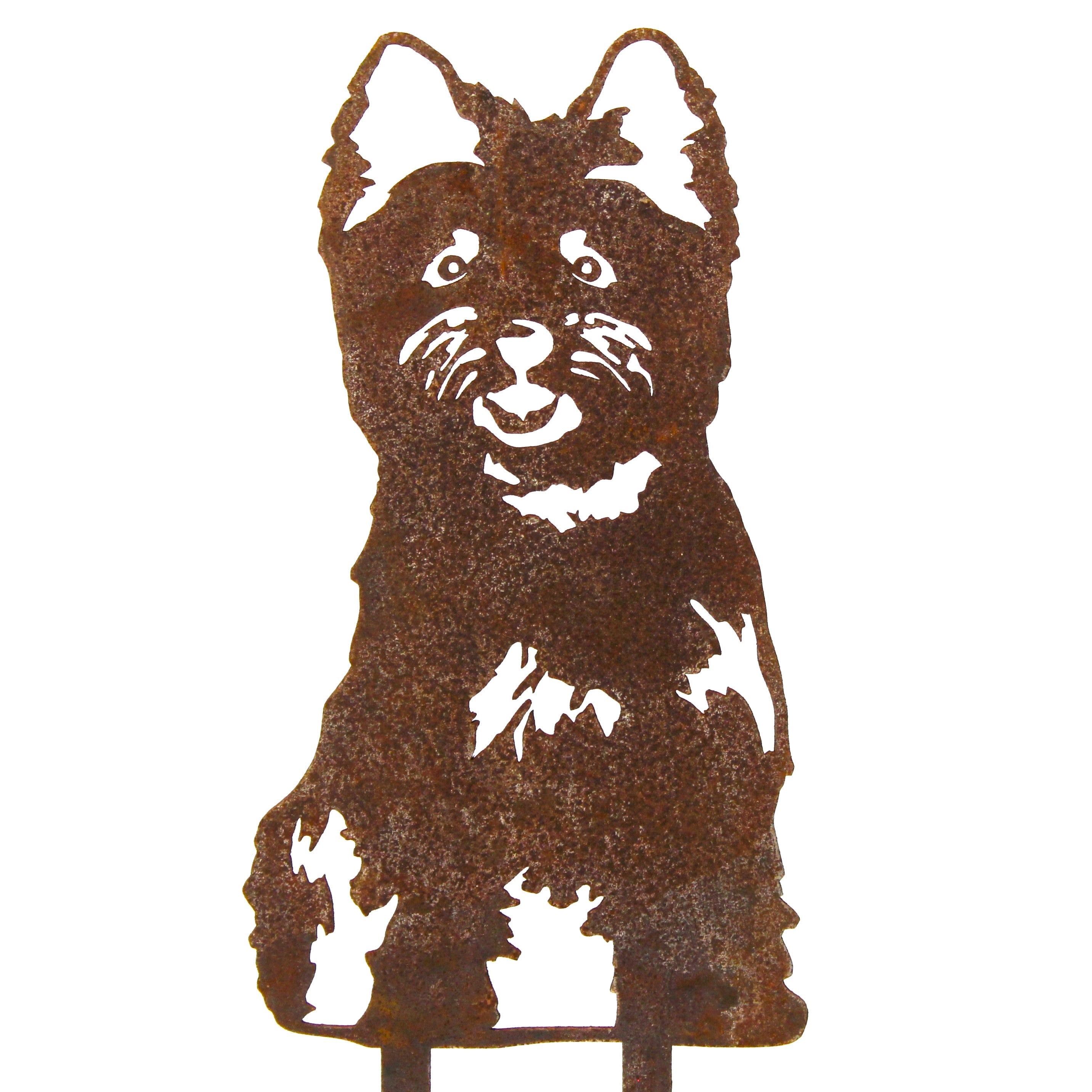 Cairn Terrier