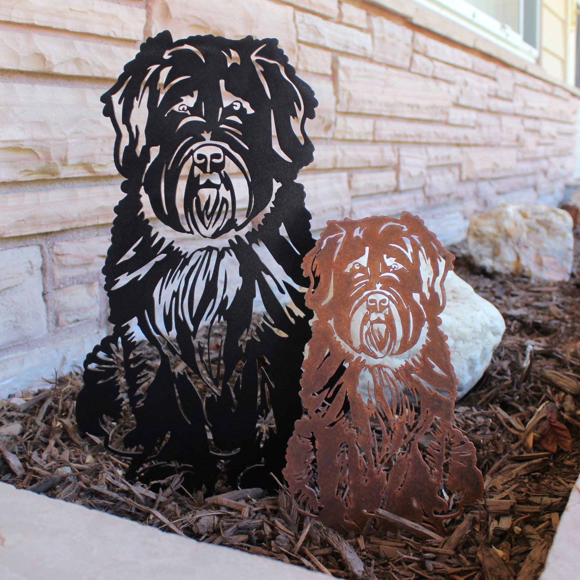 Soft Coated Wheaten Terrier