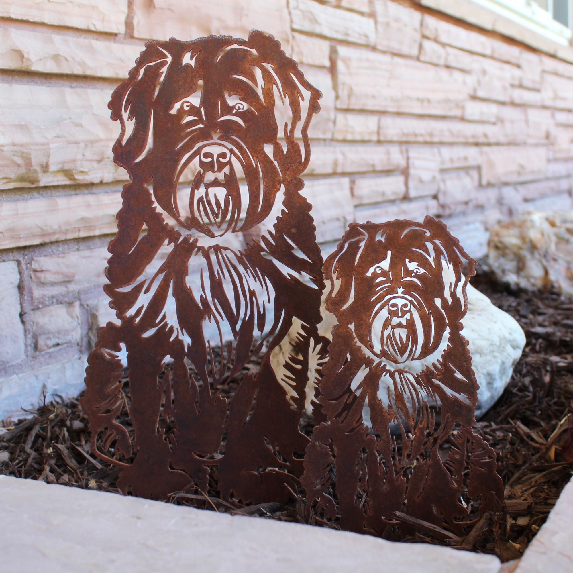 Soft Coated Wheaten Terrier