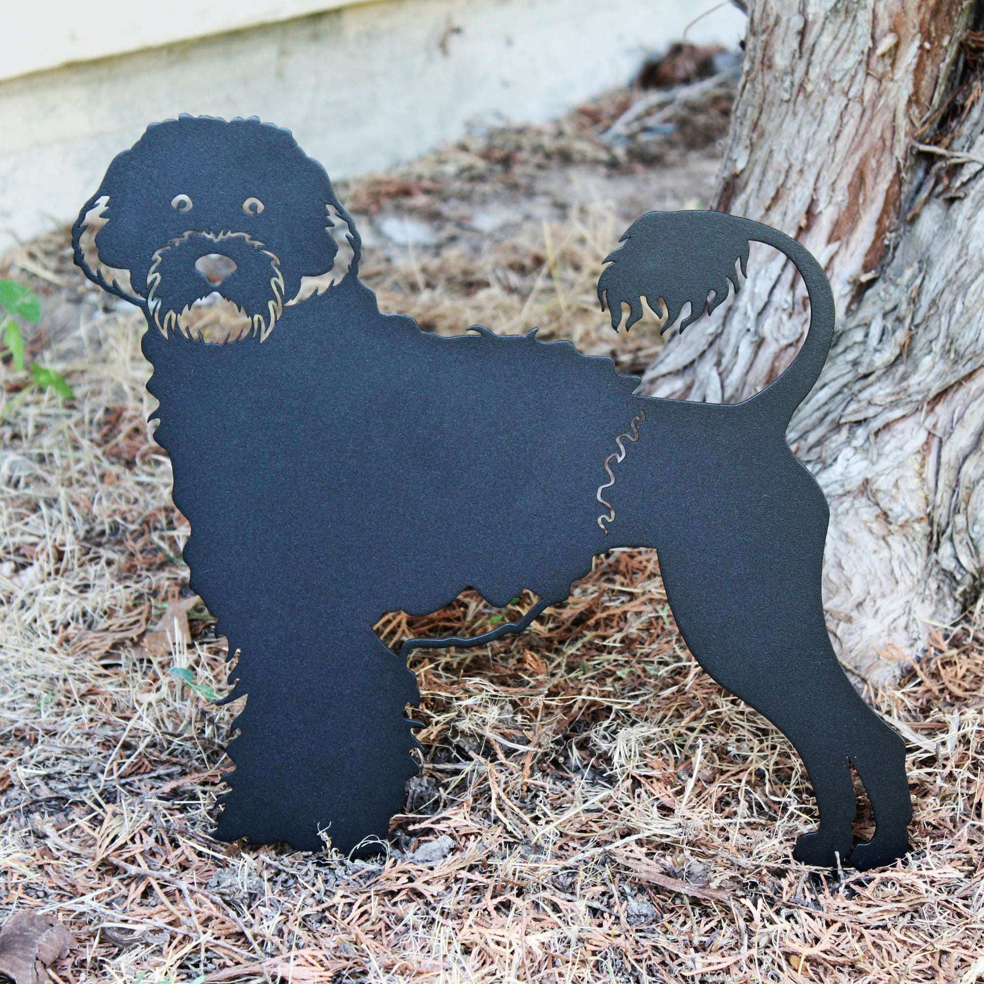 Portuguese Water Dog