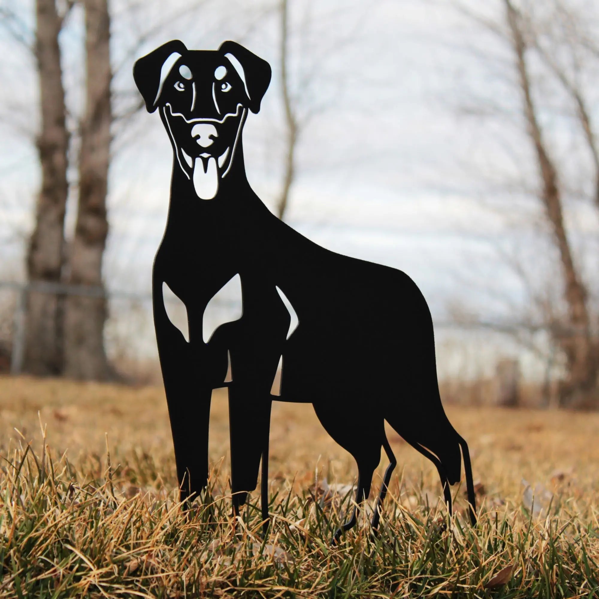 Doberman Pinscher - Natural Ear