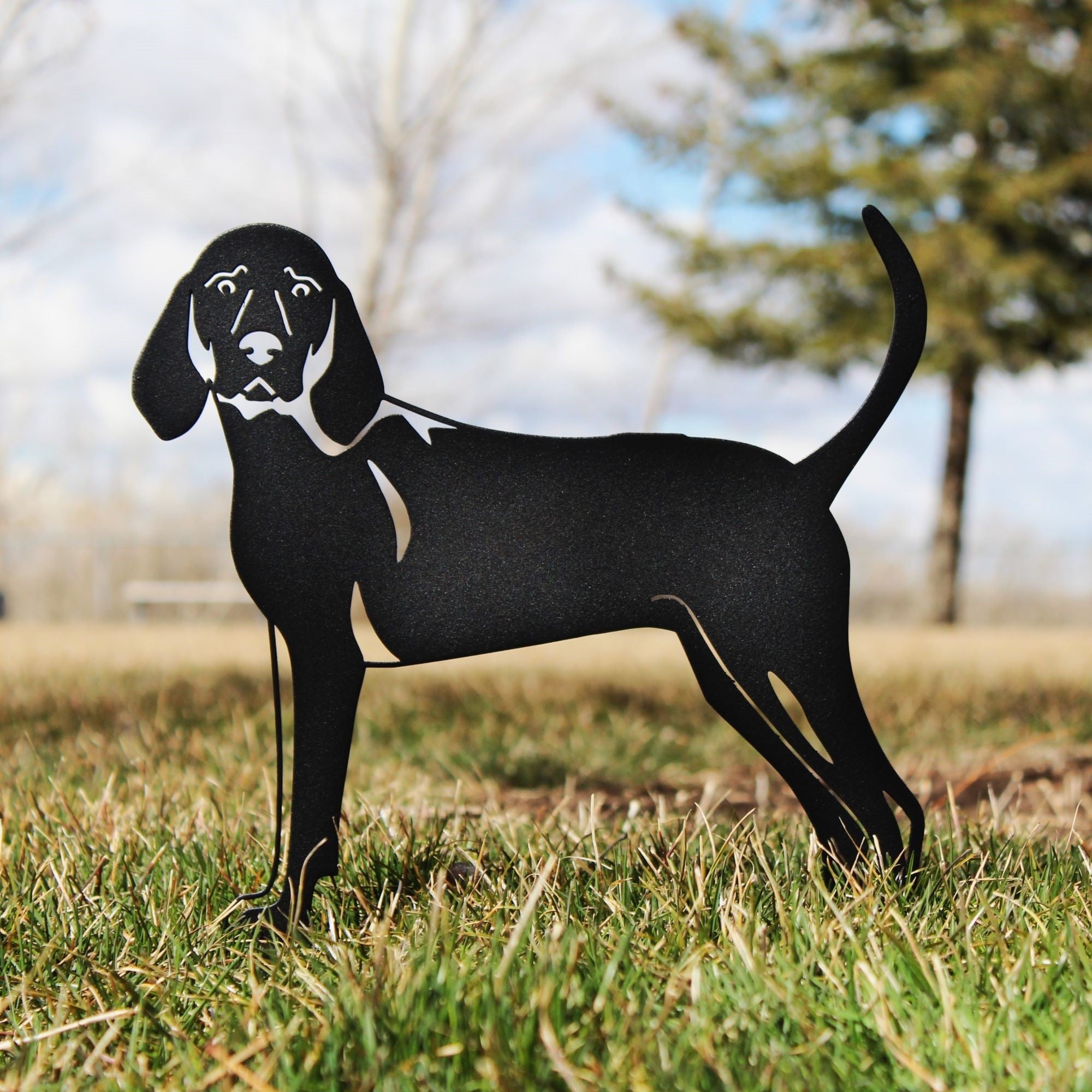 Redbone Coonhound