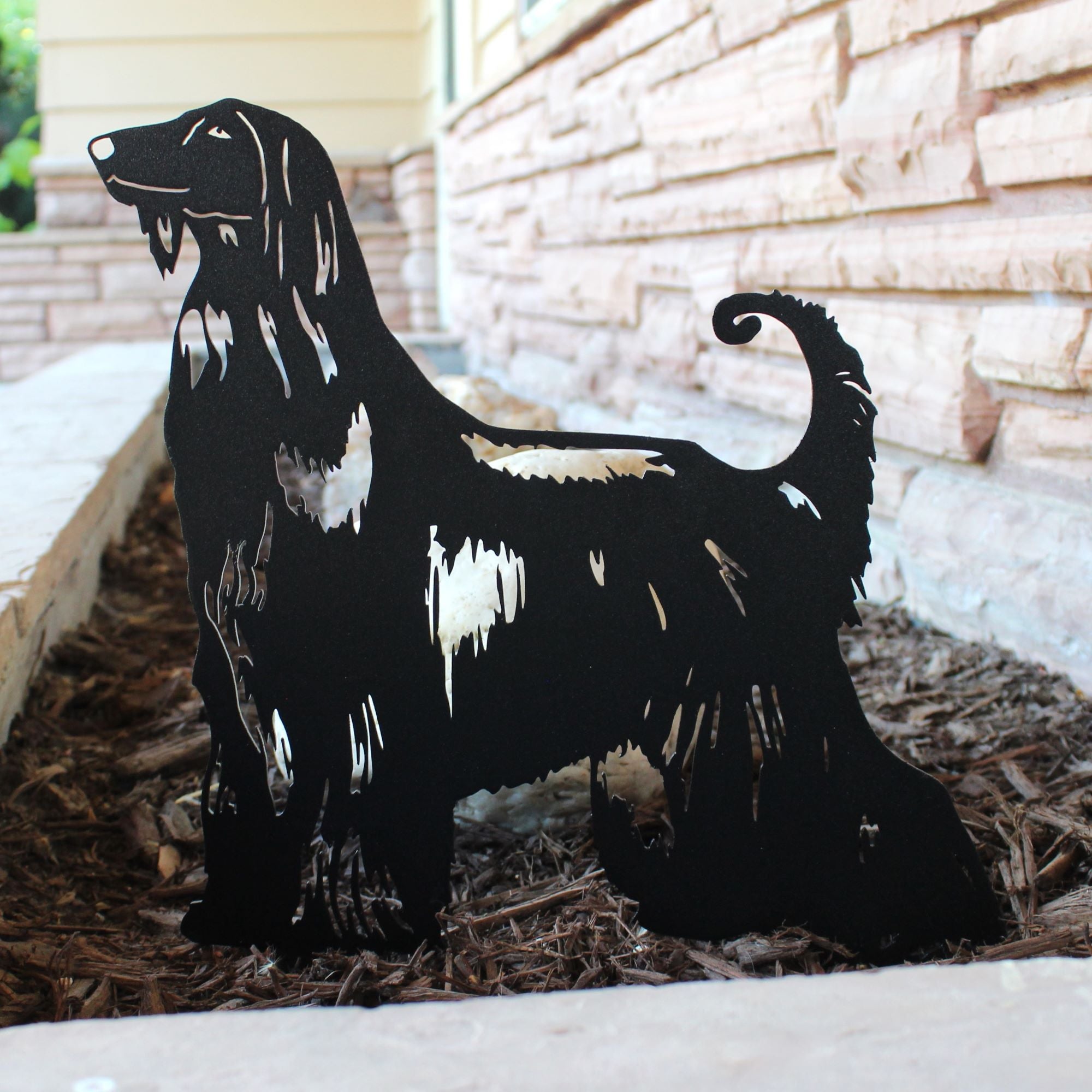 Afghan Hound