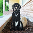 Golden Retriever - Sitting