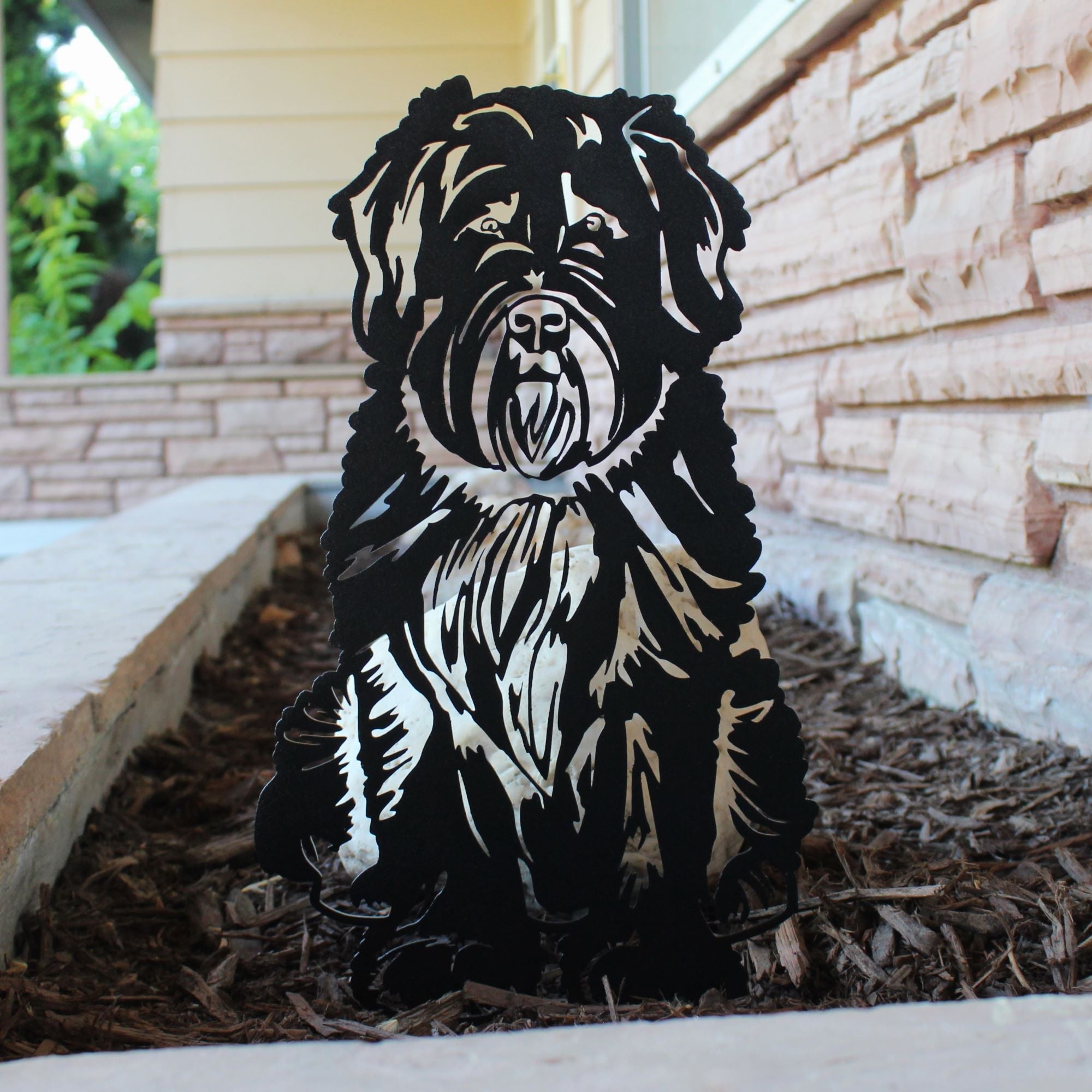 Soft Coated Wheaten Terrier