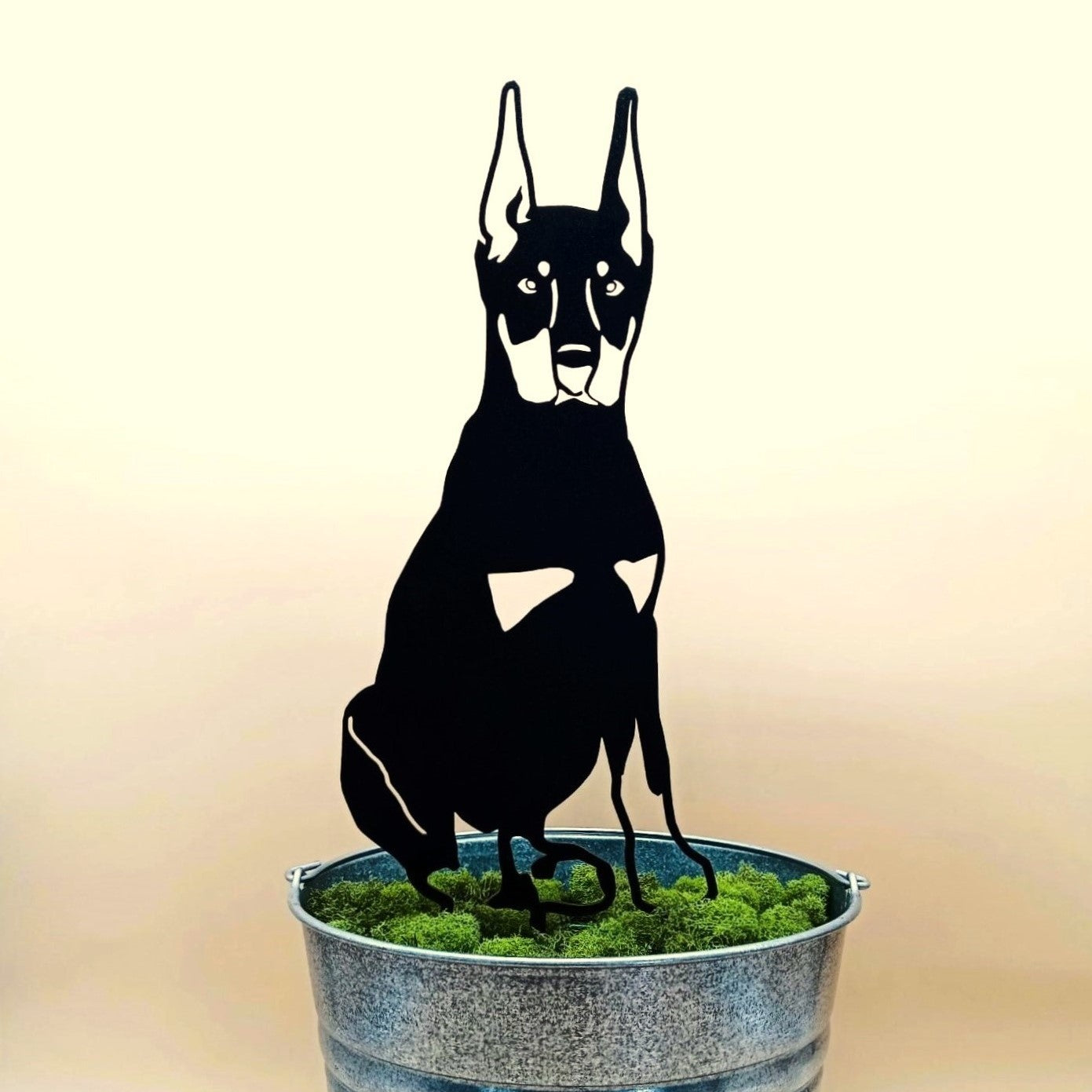 Doberman Pinscher - Cropped Ear