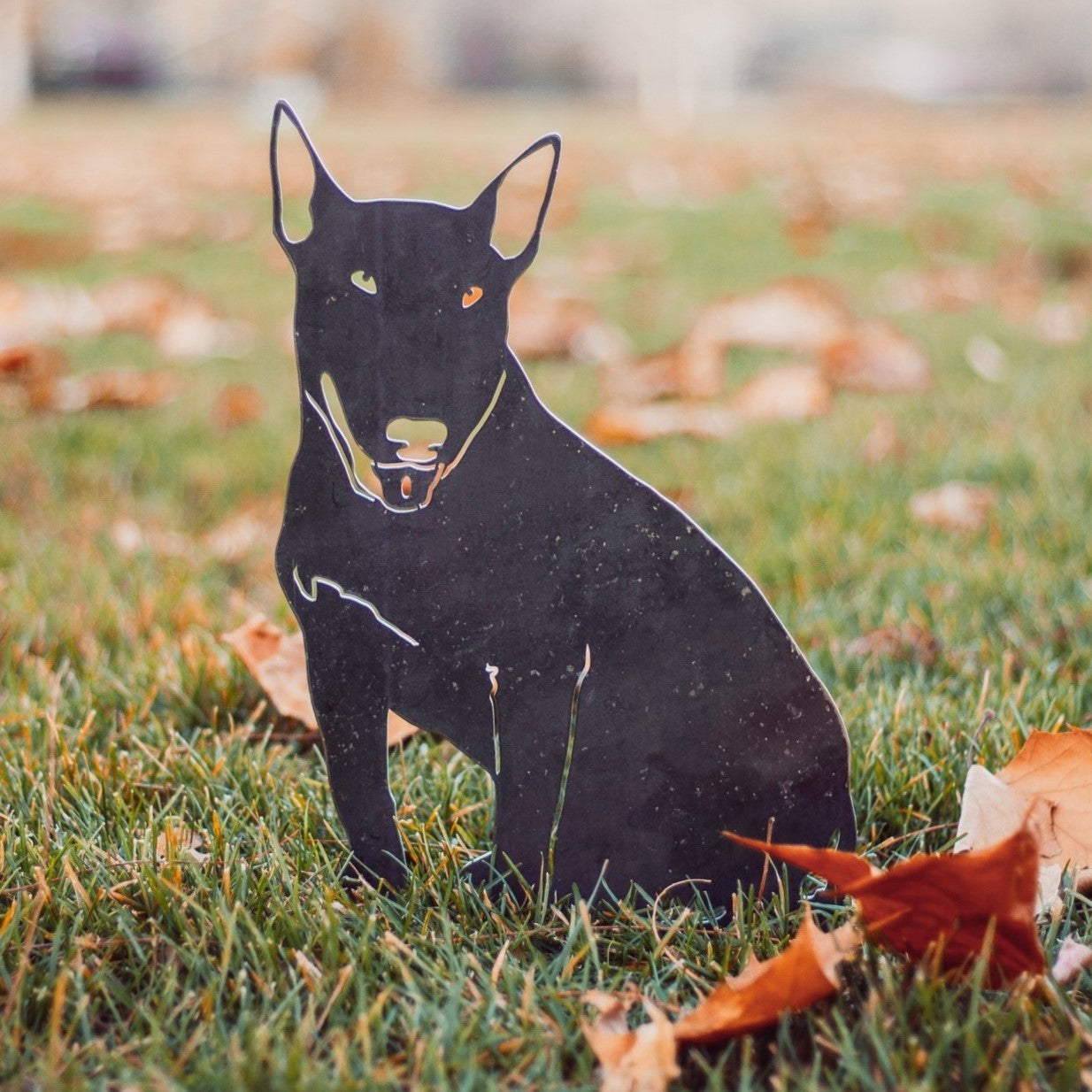 Bull Terrier