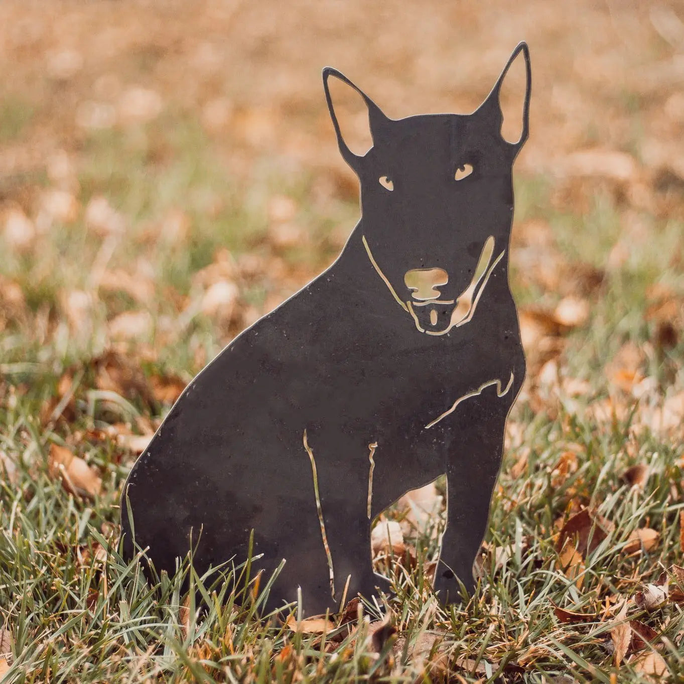 Bull Terrier