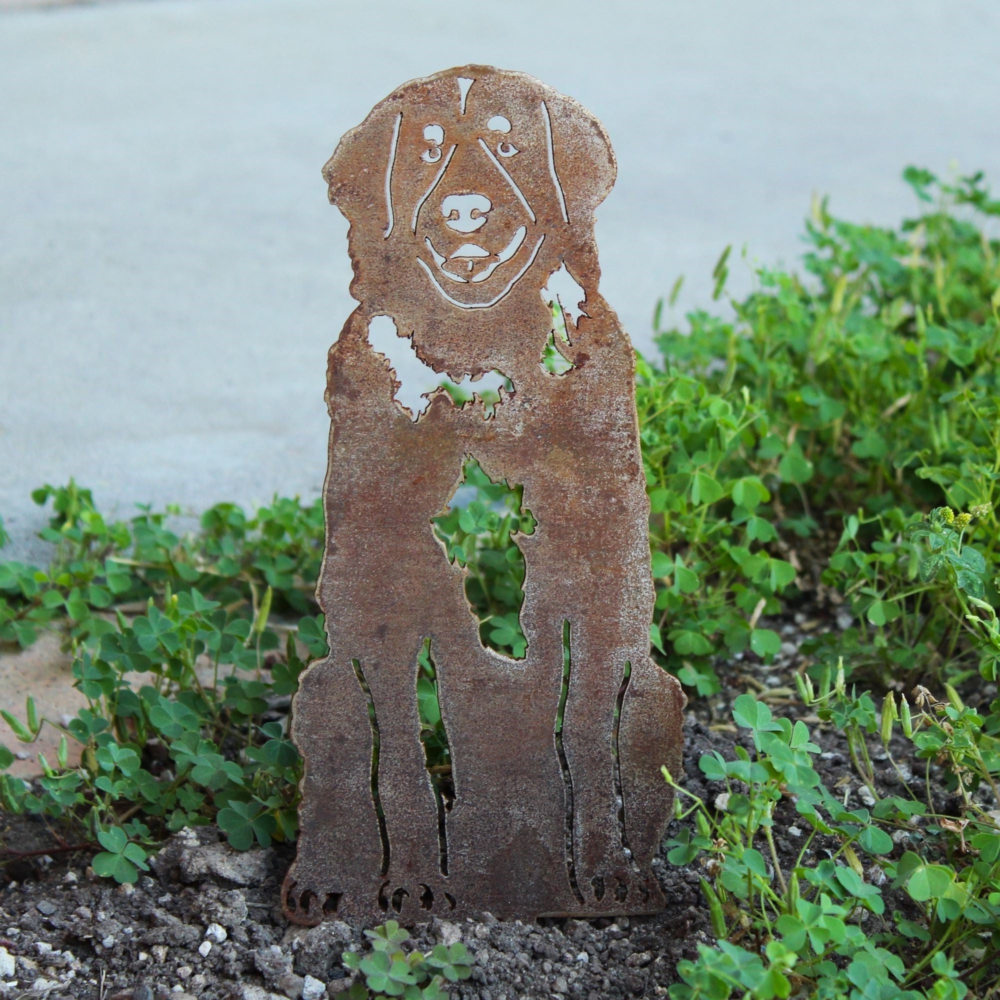 Leonberger