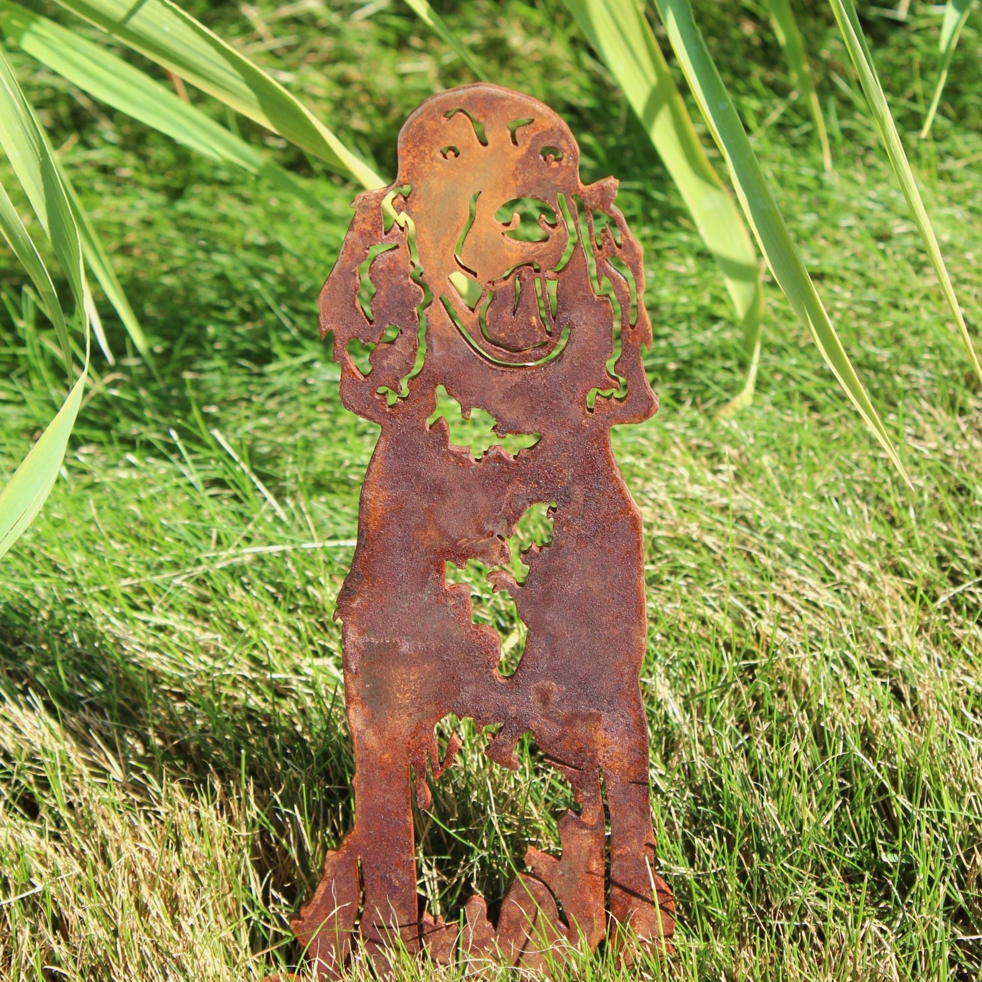 Irish Setter