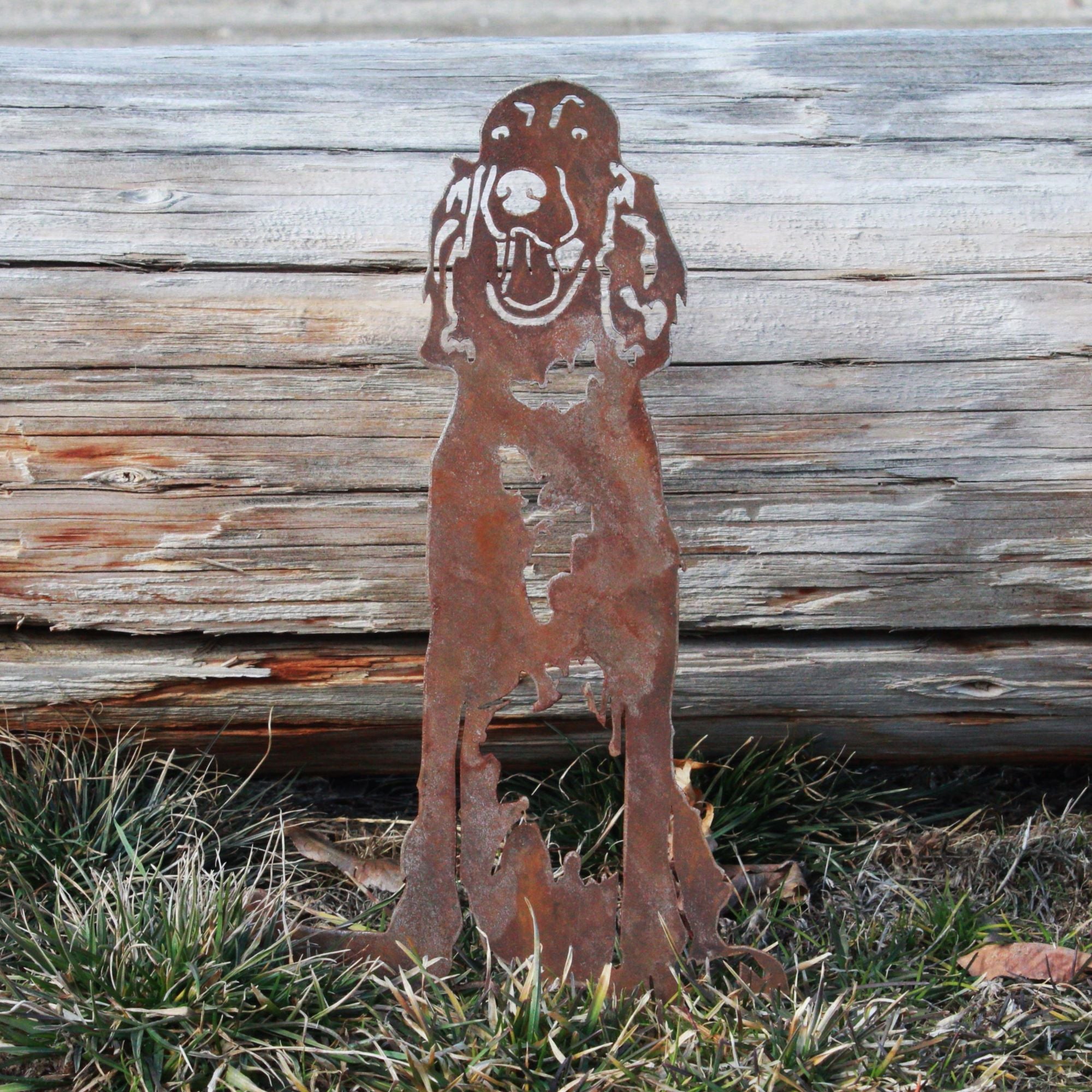 Irish Setter