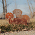 Dachshund - Longhaired