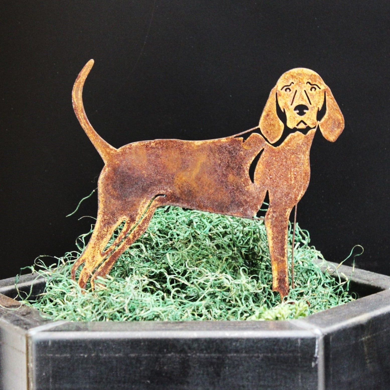 Redbone Coonhound