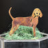 Redbone Coonhound