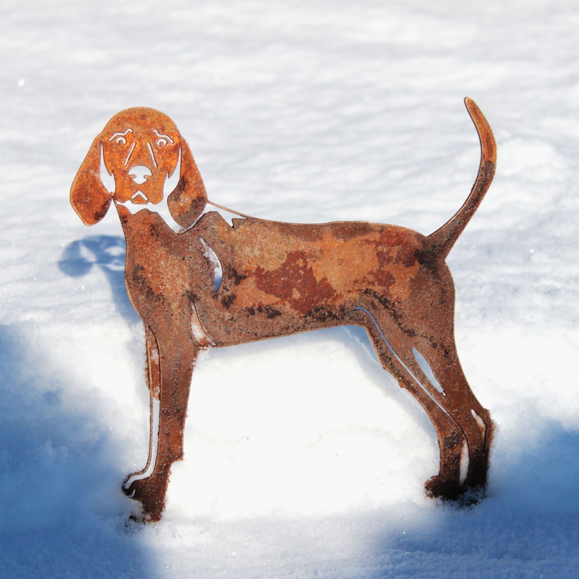 Redbone Coonhound