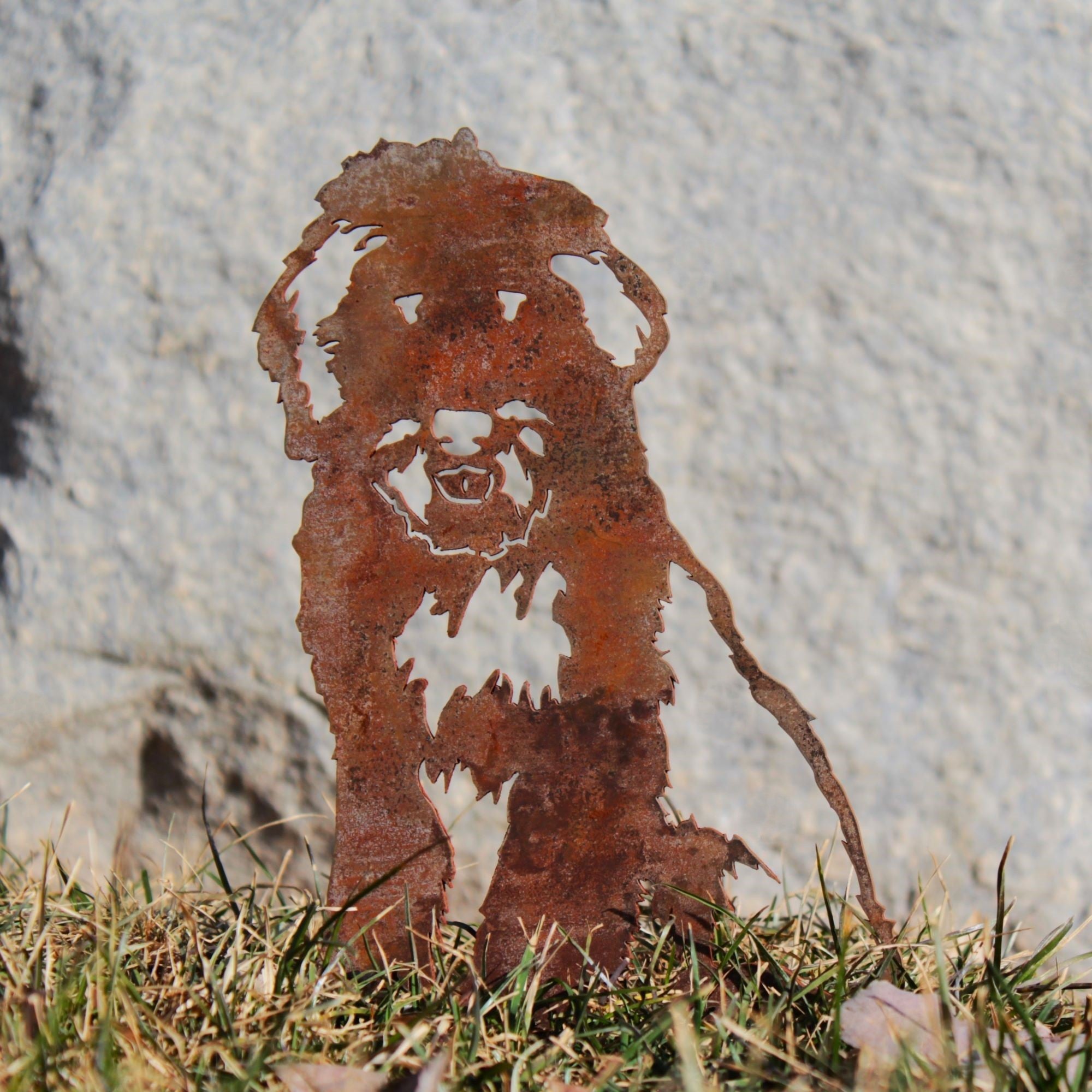 Bearded Collie