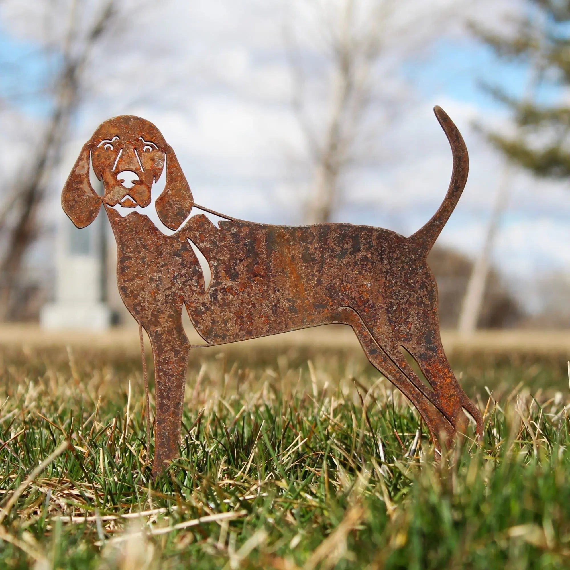 Redbone Coonhound