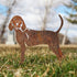 Redbone Coonhound