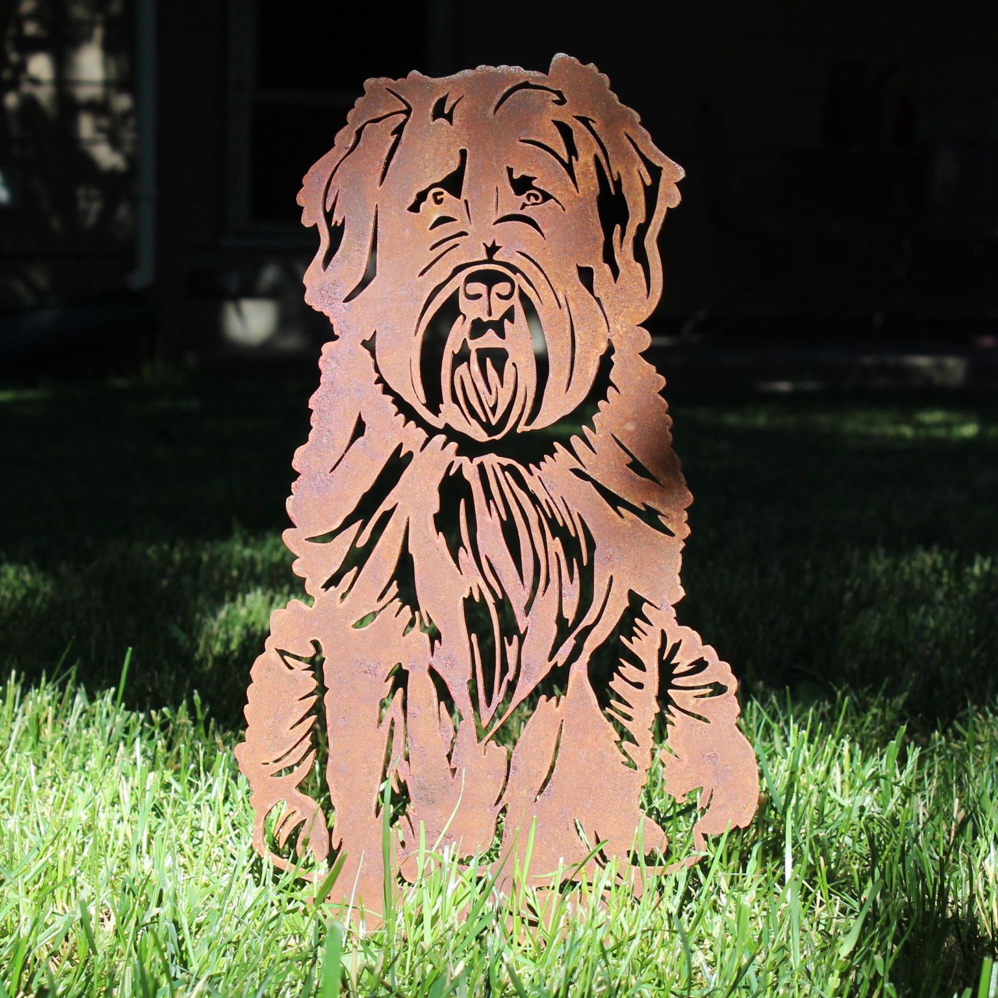 Soft Coated Wheaten Terrier