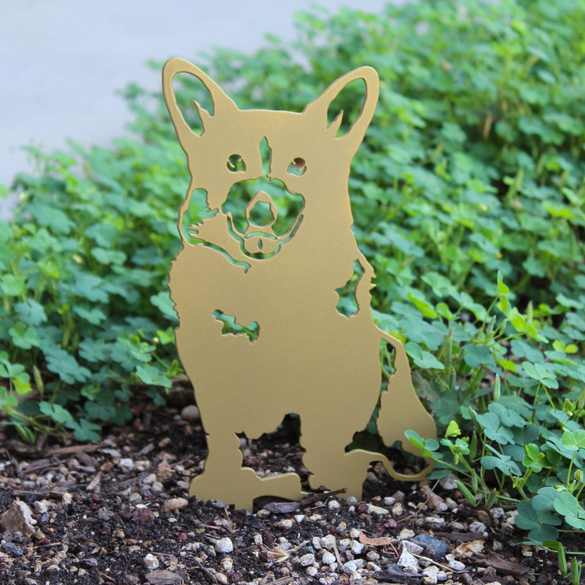 Limited Edition *Gold* Corgi