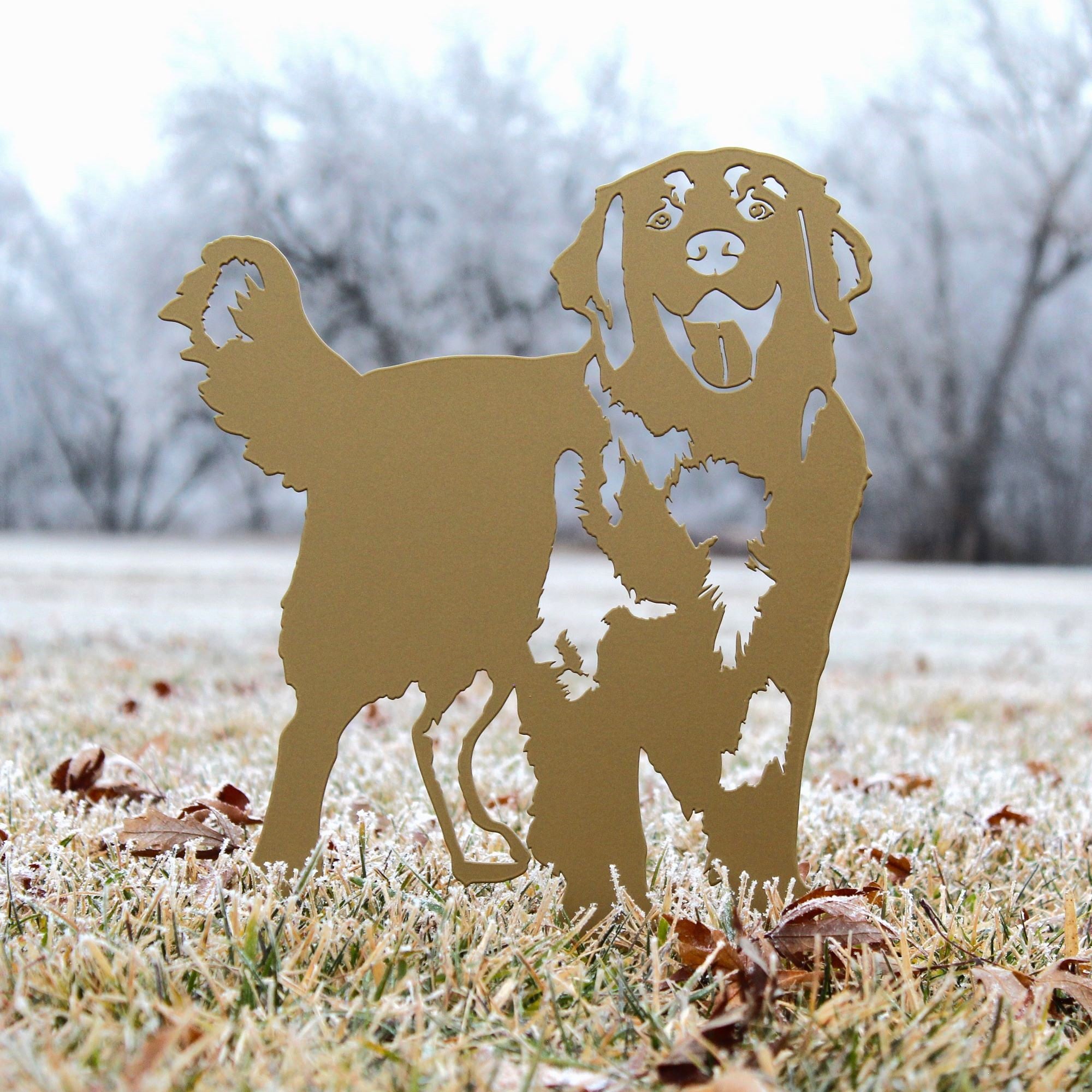 Golden Retriever - Standing