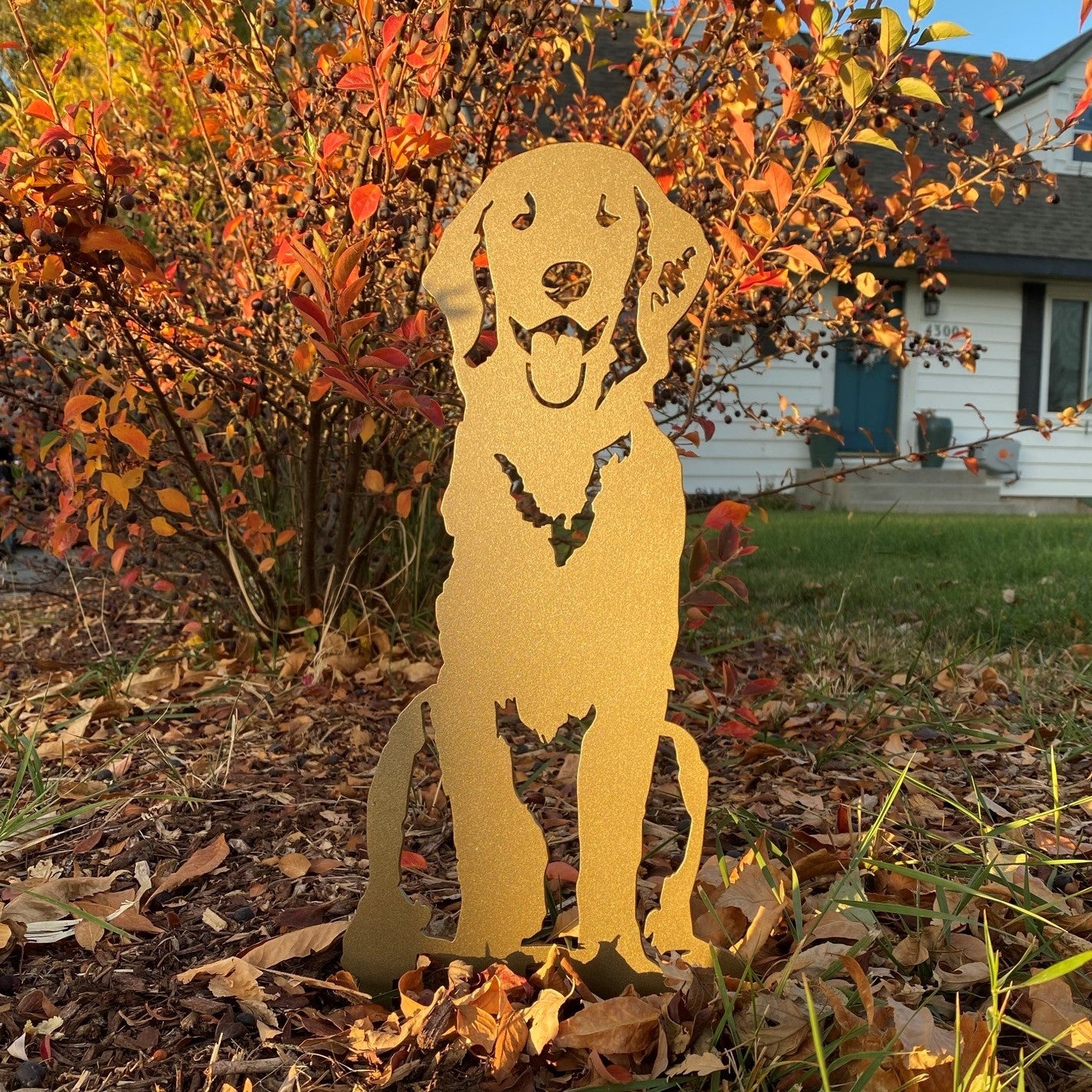 Golden Retriever - Sitting