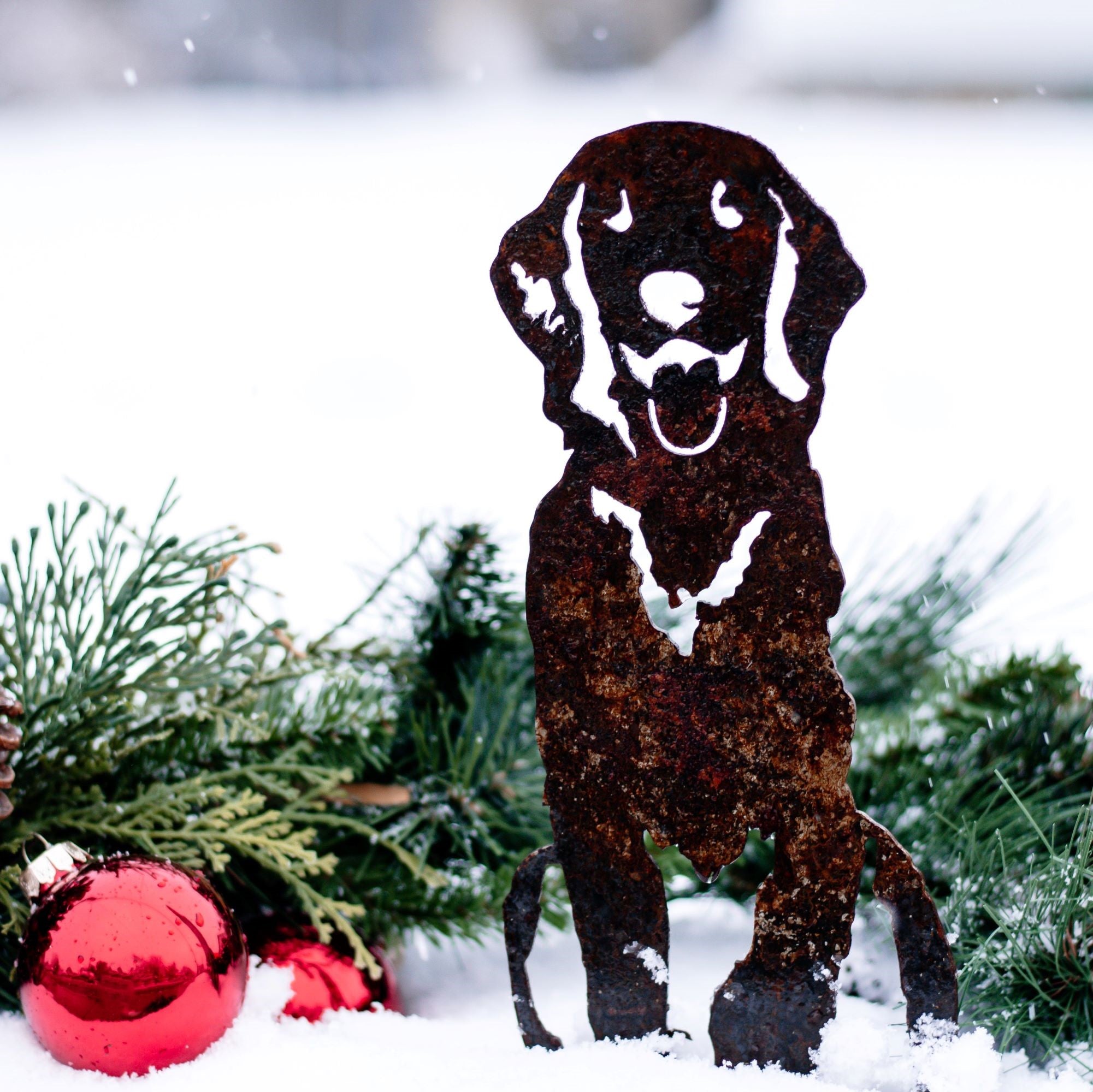 Flat Coated Retriever